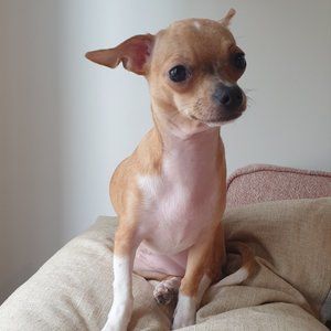 Meet your Posher, Alanna